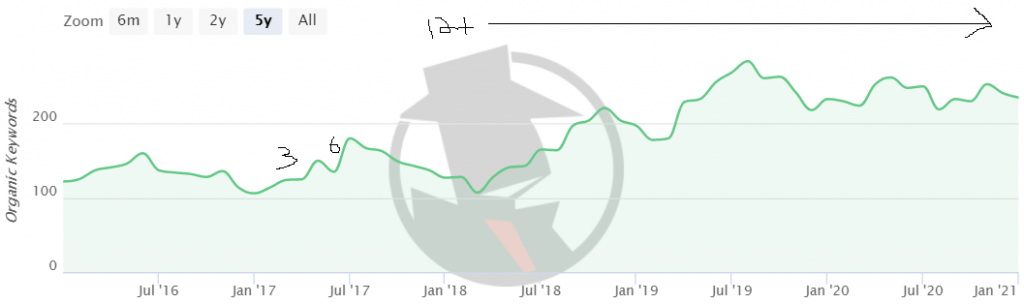 Ongoing SEO Examples