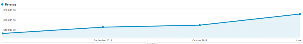 Ecommerce Revenue Growth Example