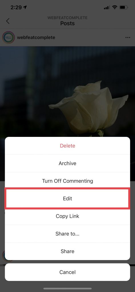 Instagram Alt Text 3