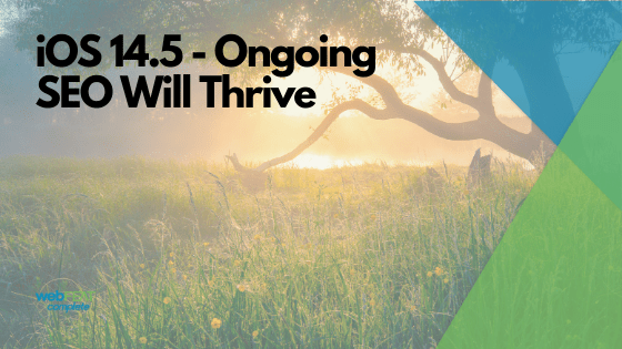 Apple’s iOS 14 Updates – Ongoing SEO Will Thrive